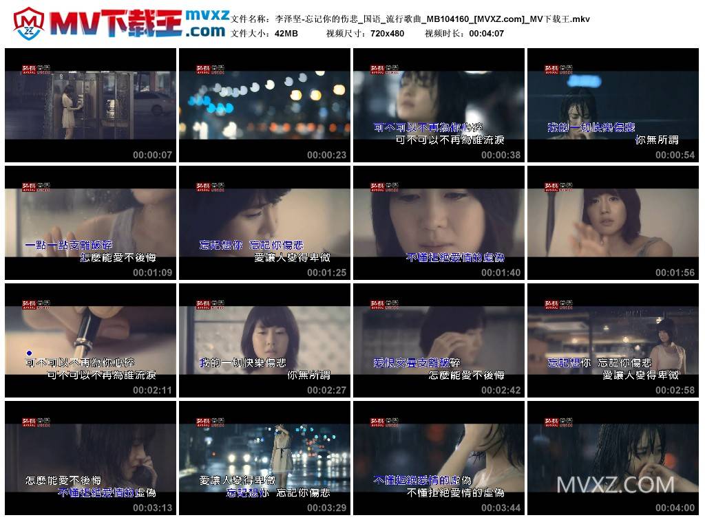 李泽坚-忘记你的伤悲_国语_流行歌曲_MB104160